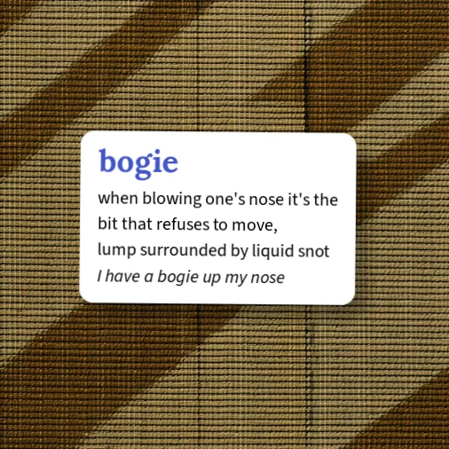 Urban Dictionary: bogie