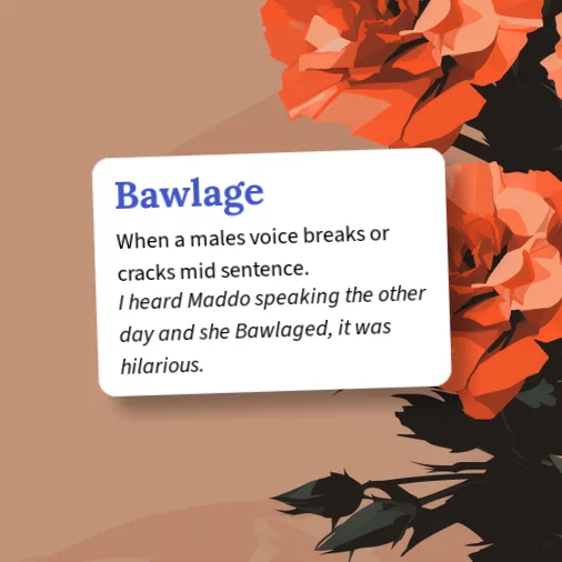 Urban Dictionary: bawlgag
