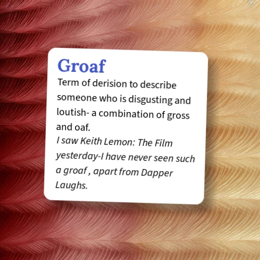 Urban Dictionary: Groaf