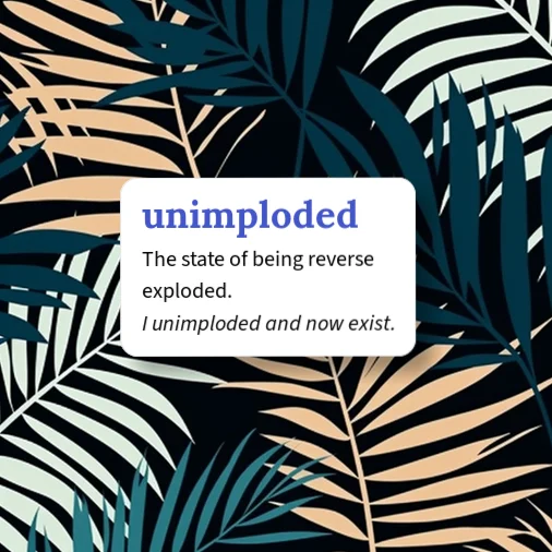 Urban Dictionary: unimploded