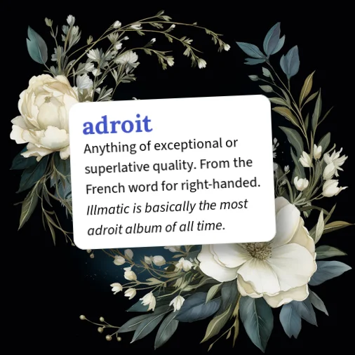 Urban Dictionary: adroit