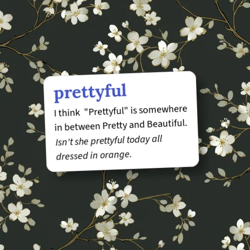 Urban Dictionary: prettyful
