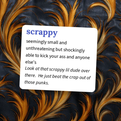 www.urbandictionary.com
