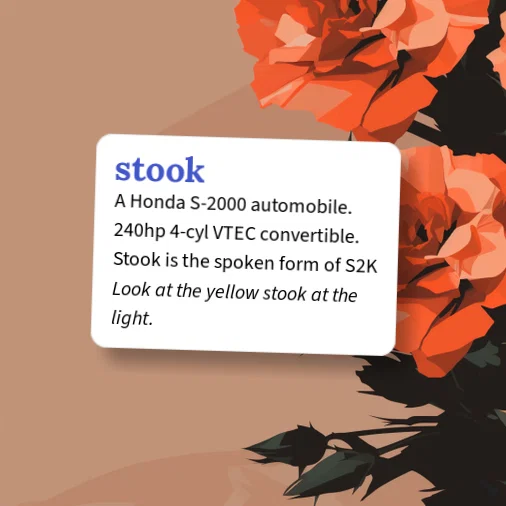 Urban Dictionary: stook