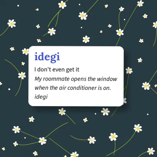 Urban Dictionary: idegi