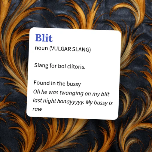 Urban Dictionary: Blit