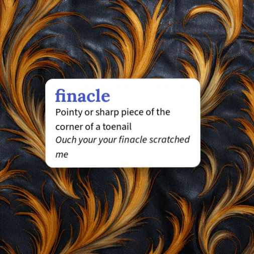 Urban Dictionary: finacle
