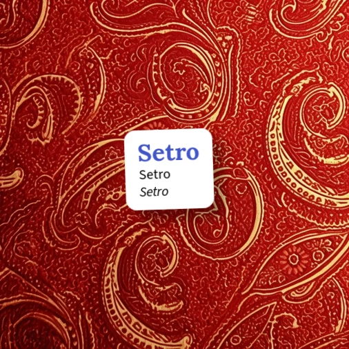 Urban Dictionary: Setro