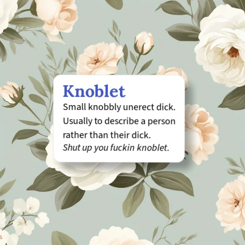 Urban Dictionary: Knoblet