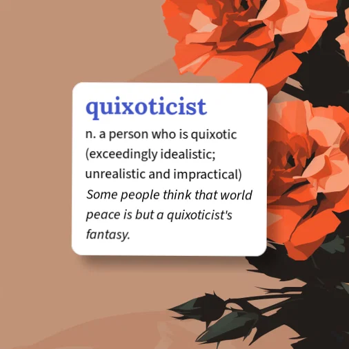 Urban Dictionary: quixoticist