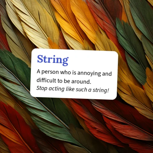Urban Dictionary: String