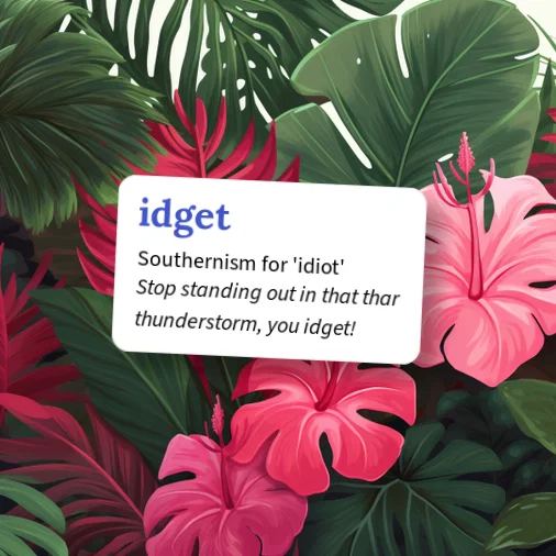 Urban Dictionary: Idget