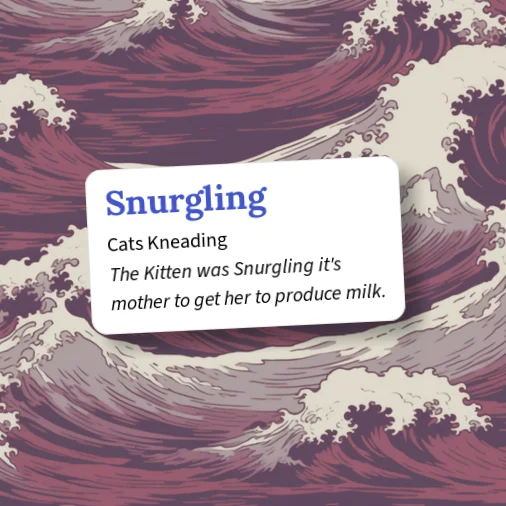 www.urbandictionary.com