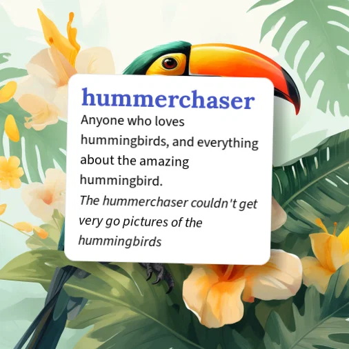Urban Dictionary: hummerchaser