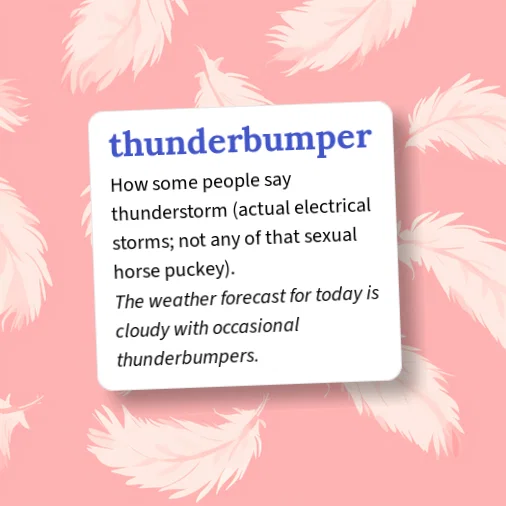 Urban Dictionary: thunderbumper