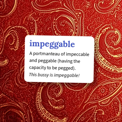 Urban Dictionary: impeggable