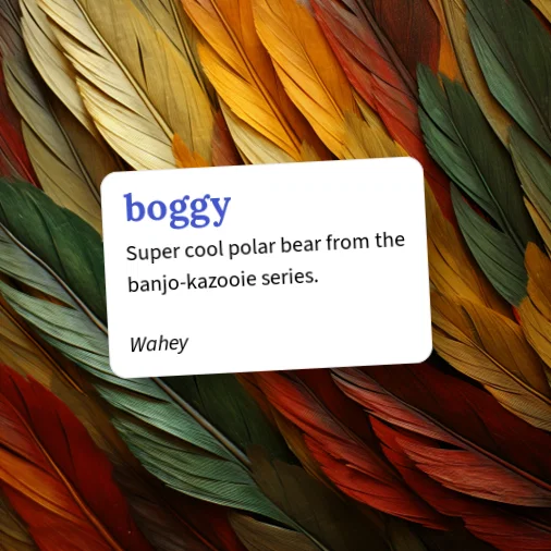 Urban Dictionary: boggy