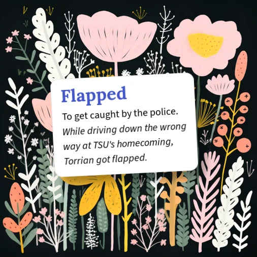 Urban Dictionary: Flapped