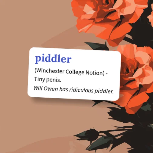 Urban Dictionary: piddler