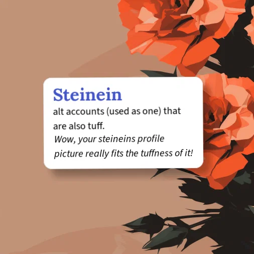Urban Dictionary: Steinein