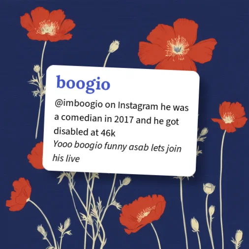 Urban Dictionary: boogio