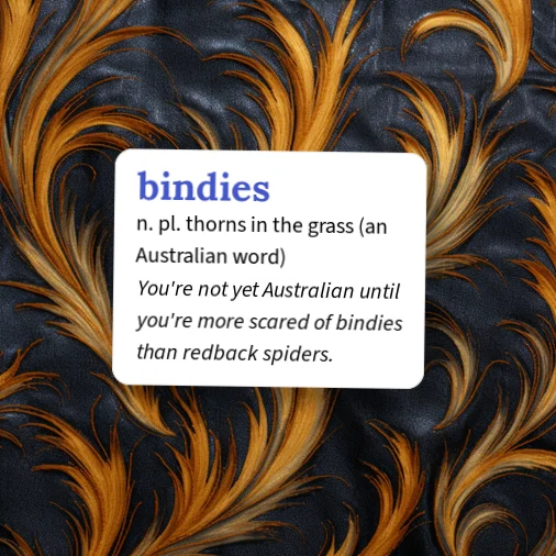 Urban Dictionary: bindies