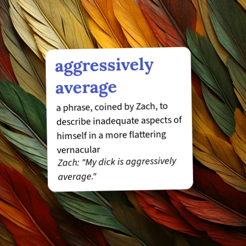 Urban Dictionary: aggressively average