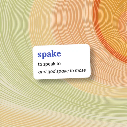Urban Dictionary: spake