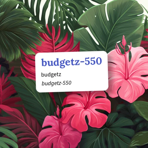Urban Dictionary: budgetz-550