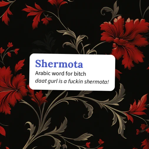 Urban Dictionary: Shermota