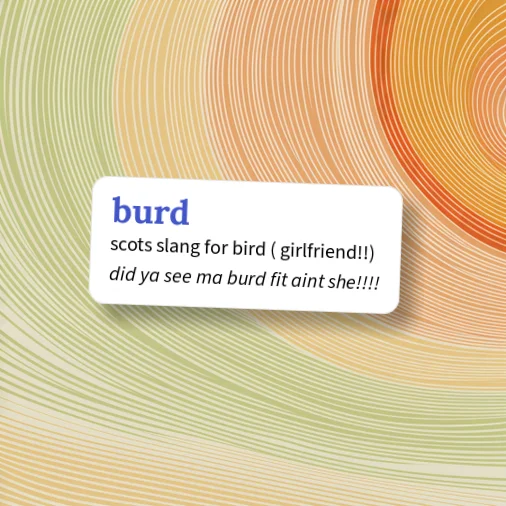 Urban Dictionary: burd