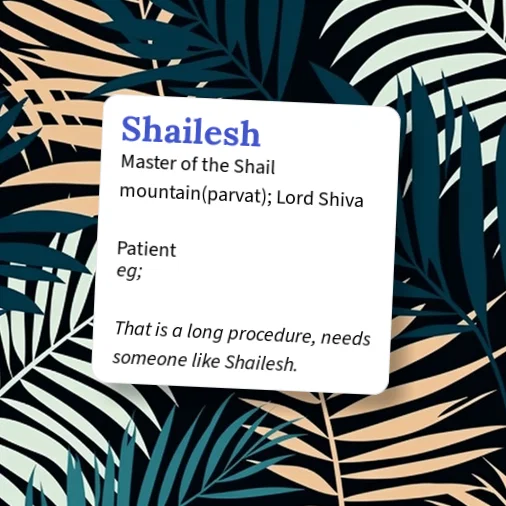 Urban Dictionary: Shailesh