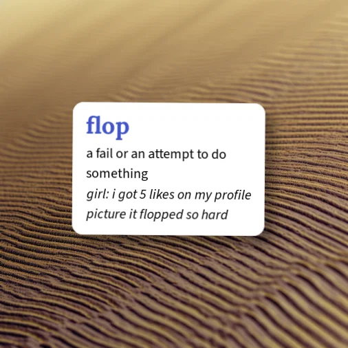 Urban Dictionary: flop