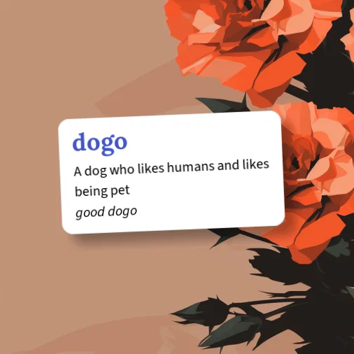 Urban Dictionary: dogo