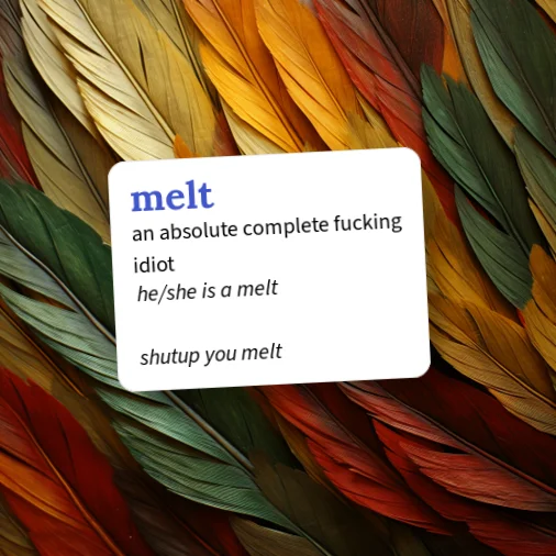 www.urbandictionary.com
