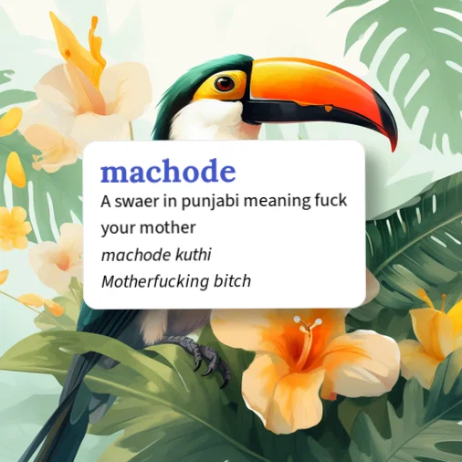 Urban Dictionary: machode