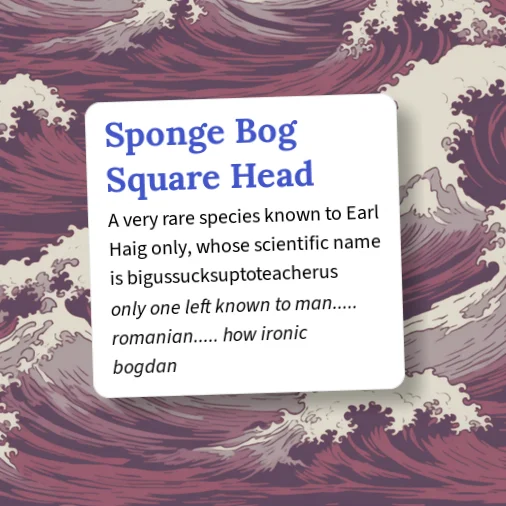 Urban Dictionary: Sponge Bog Square Head