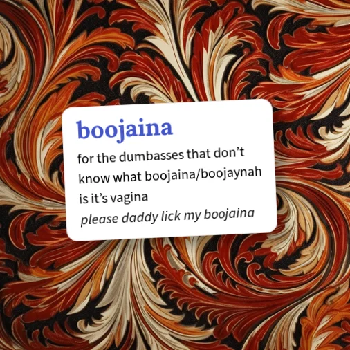 Urban Dictionary: boojaina