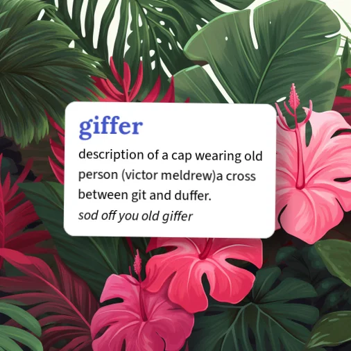 Urban Dictionary: giffer