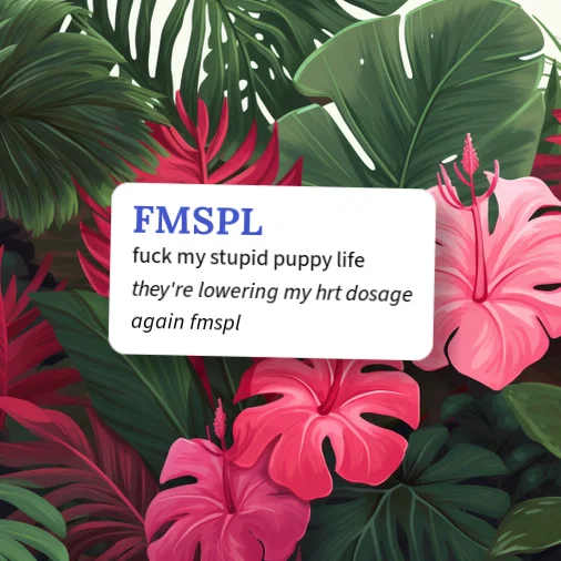 Urban Dictionary: FMSPFL
