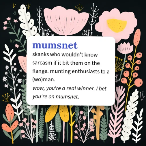Urban Dictionary: mumsnet