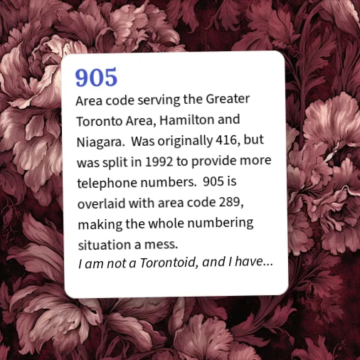 905 Country Code Urban Dictionary: 905