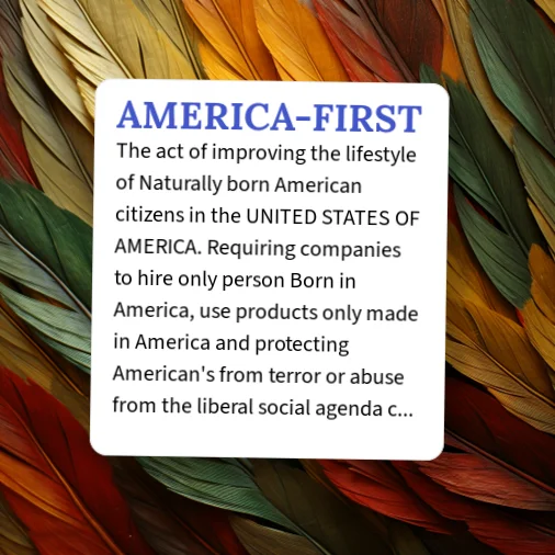 At First Definition Urban Dictionary: AMERICA-FIRST
