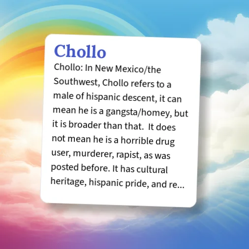 Random Chinese Chollo Urban Dictionary: Chollo