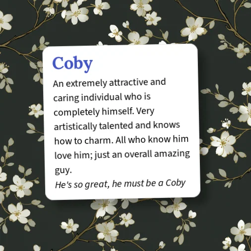 Coby Text Urban Dictionary: Coby