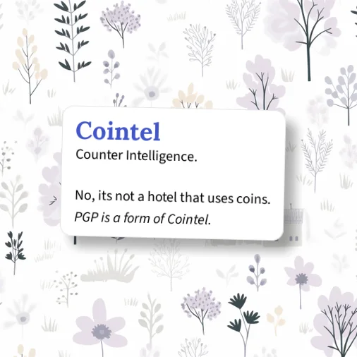 Urban Dictionary: copint