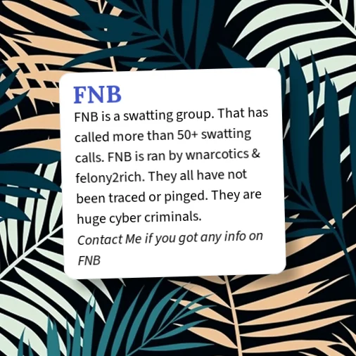 Fnb Definition Urban Dictionary: FNB