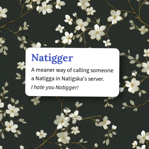 Naigger Urban Dictionary: Natigger