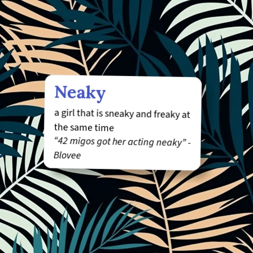 Sneaky Example Urban Dictionary: Neaky