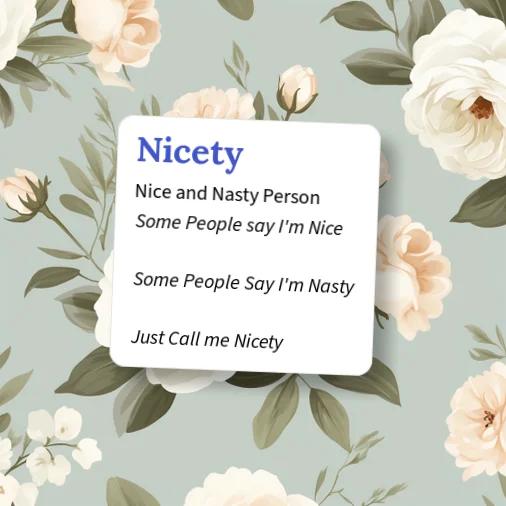 Niceties Examples Urban Dictionary: Nicety